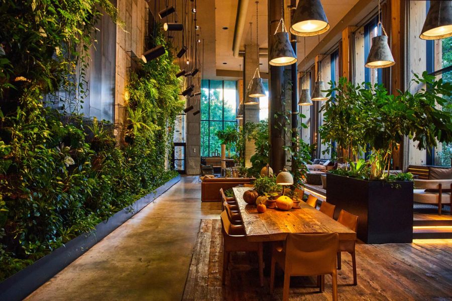 Biophilic Design Features